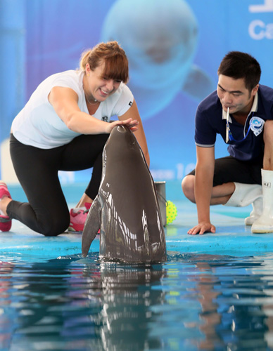 不仅在于他 不仅在于他